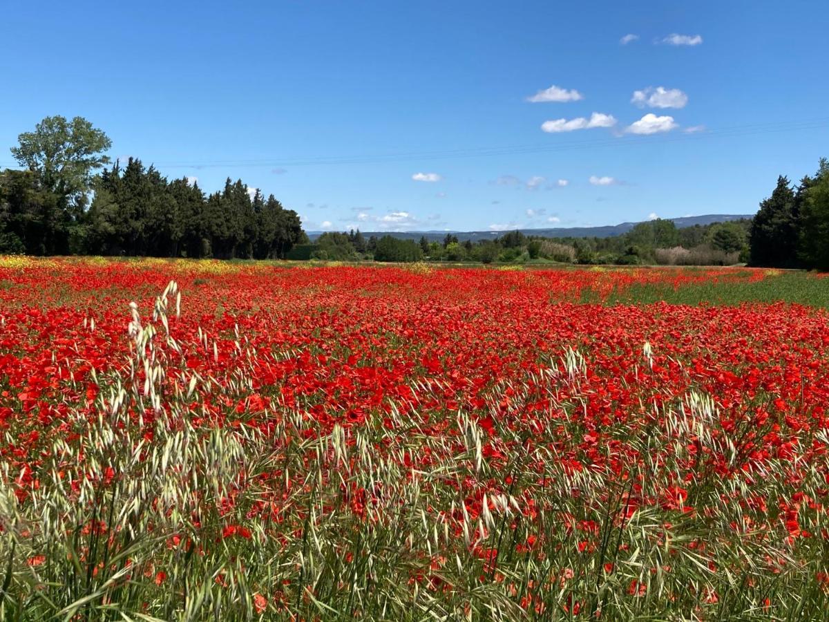 Апартаменти Ilot Coquelicot - Parking Gratuit Securise - Ac Clim - Ascenseur - Balcon Л'Іль-сюр-ла-Сорг Екстер'єр фото